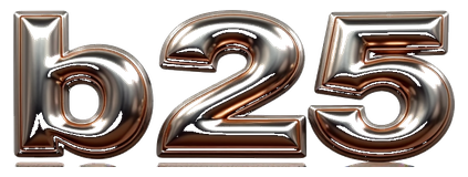 b25 logo